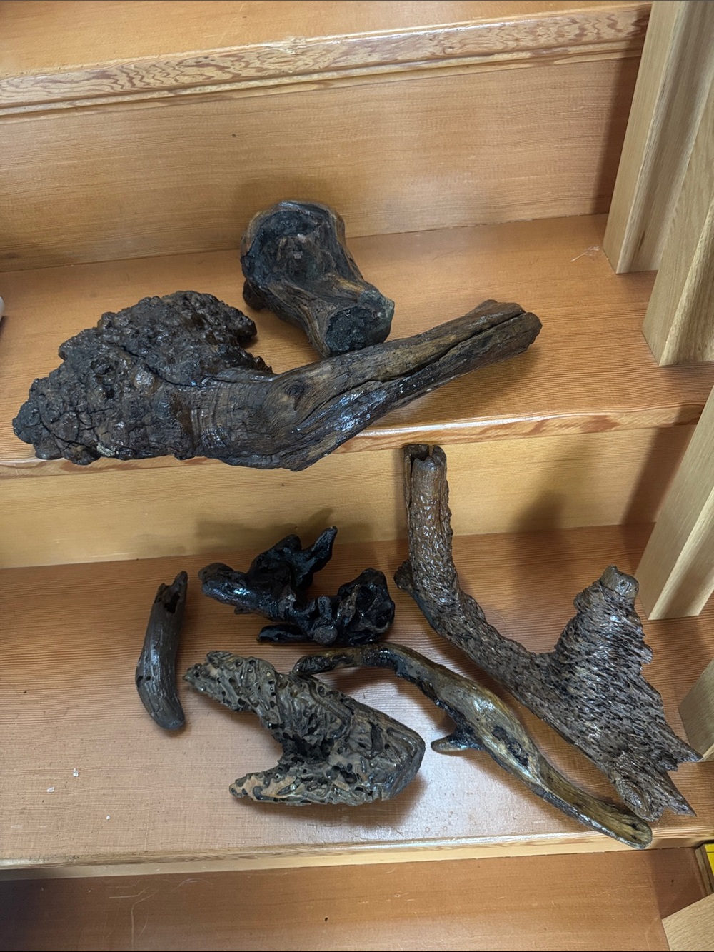 7 pcs Shellacked Assorted Natural Driftwood Pieces